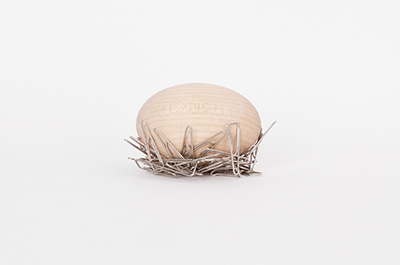 Nest Egg